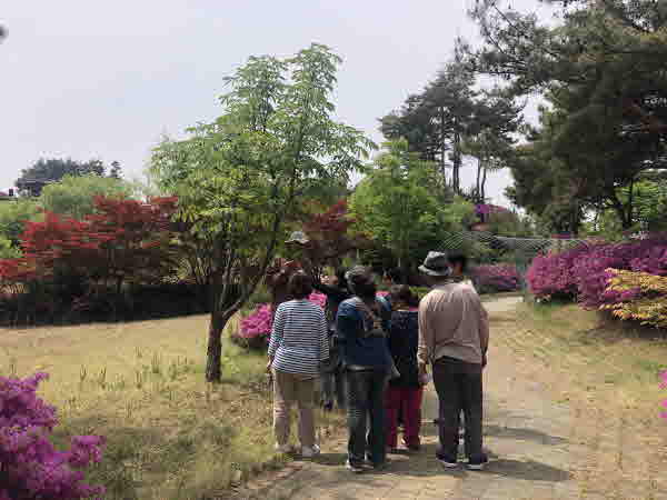 산림치유프로그램에 참여하고 있는 이용자들