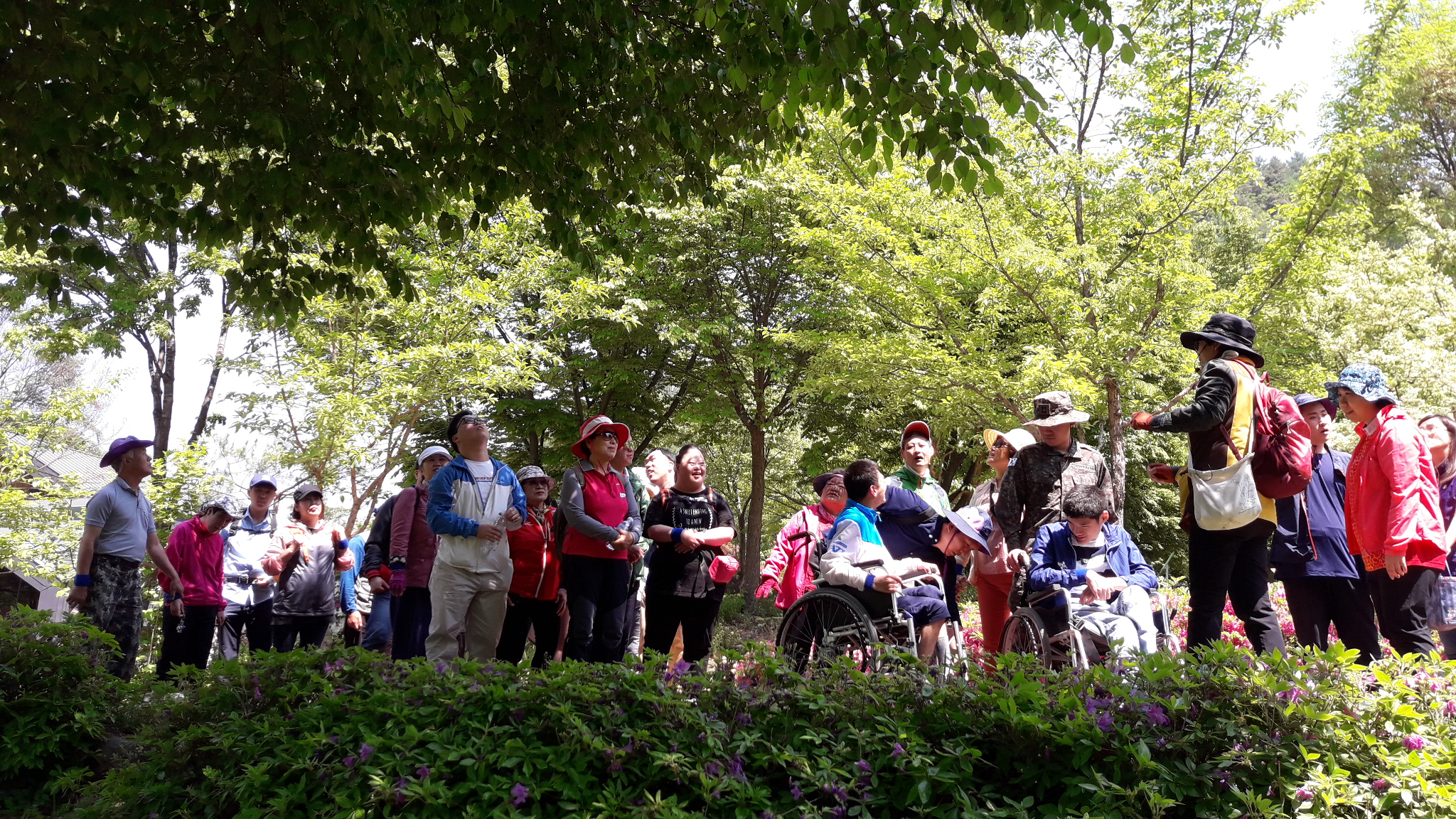 숲 해설가와 함께 산책프로그램에 참여하고 있는 참여자들
