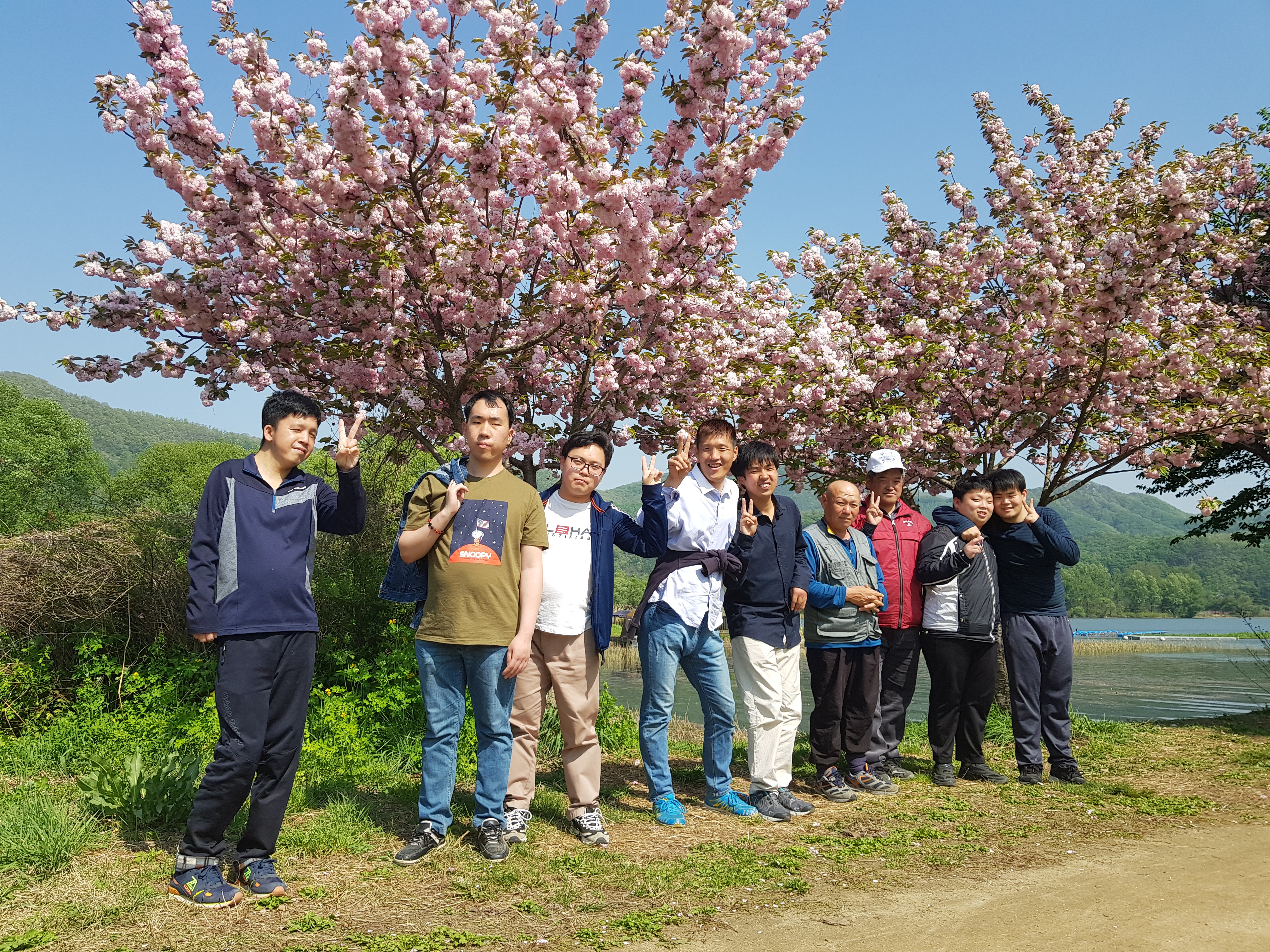 겹벚꽃아래서 단체 기념 사진